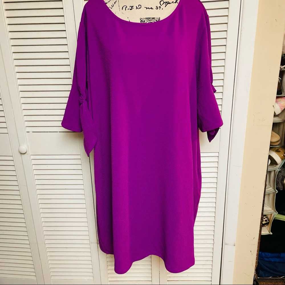 Violet B Plus size dress